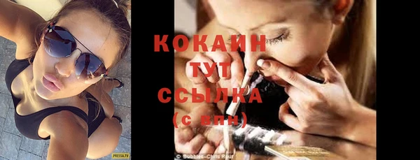 стаф Козловка