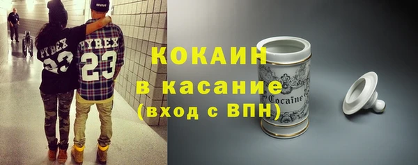стаф Козловка
