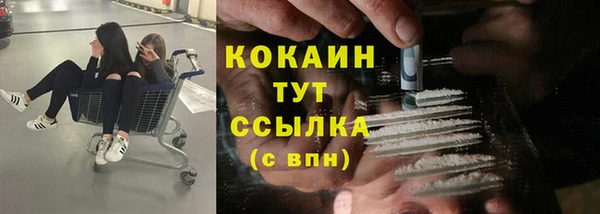 стаф Козловка