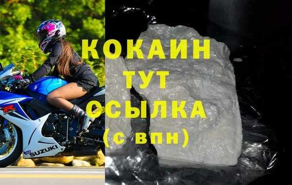 стаф Козловка
