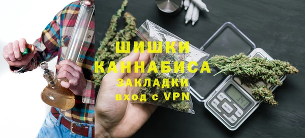стаф Козловка