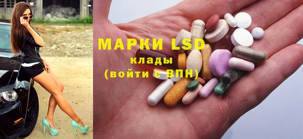 стаф Козловка
