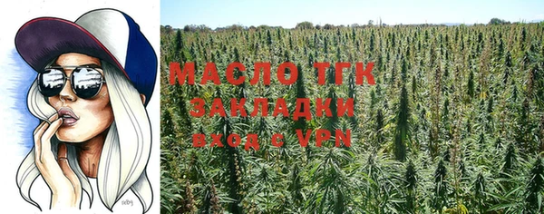 стаф Козловка