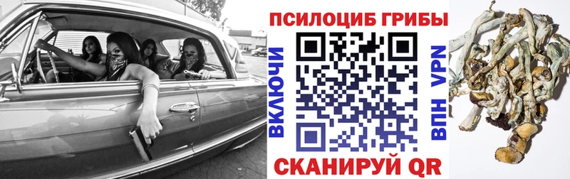 Псилоцибиновые грибы Psilocybe  Купить закладки  Бобров 